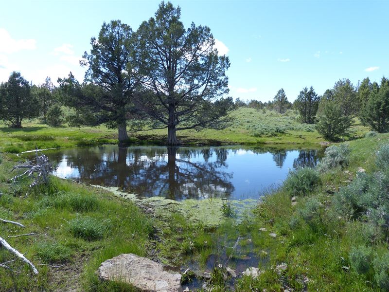 Lone Pine Parcel 2, 160 Acres North : Burns : Harney County : Oregon