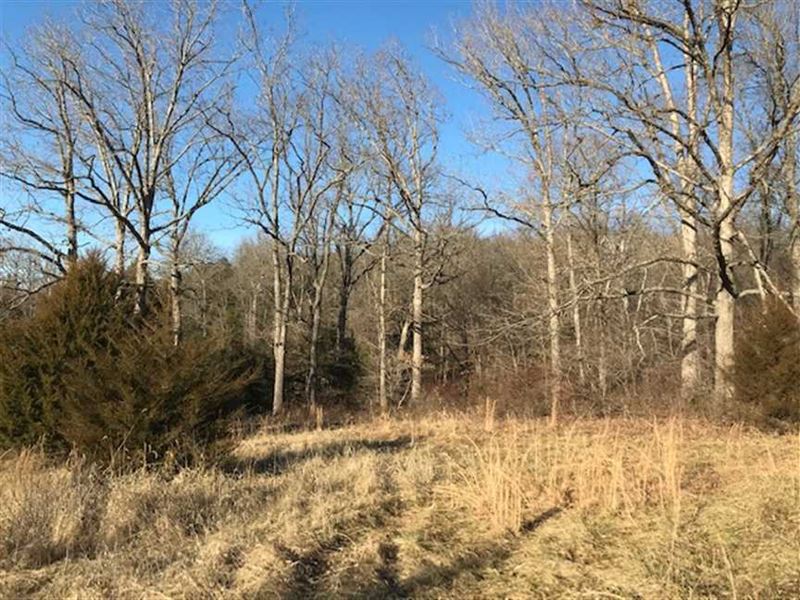 Nice Little 6 Acre Hunting Tract : Stover : Benton County : Missouri