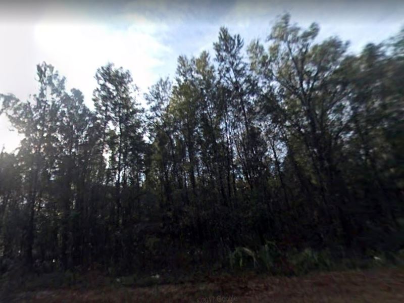 Dixie County, Fl $65,000 : Old Town : Dixie County : Florida