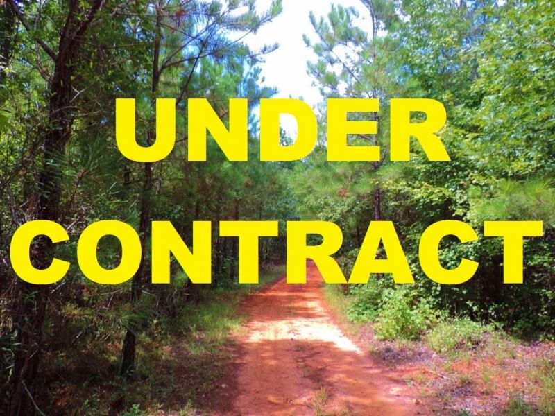 1,000 Per Acre, Cheap Land Land for Sale in Sparta, Hancock County