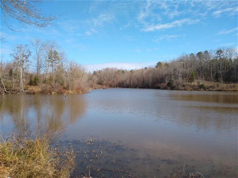 52 Acres, Cherokee County, SC Land for Sale in Blacksburg, Cherokee