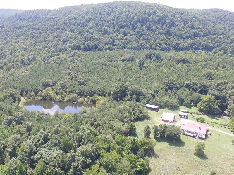 Large Farm Ozark Mountains Creek Land for Sale in Harrison, Carroll
