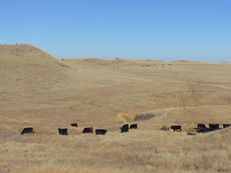 Southeast Montana Ranch : Ismay : Custer County : Montana