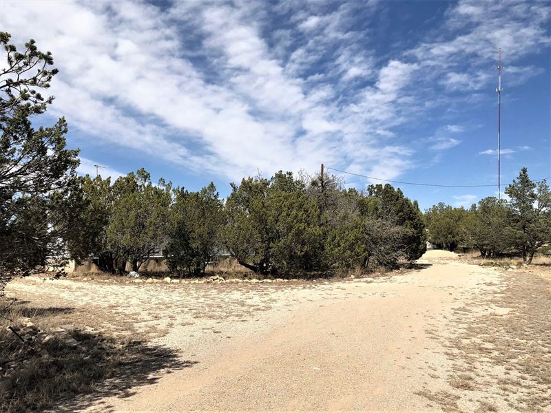 Mountain Property Queen NM Land for Sale in Carlsbad, Eddy County