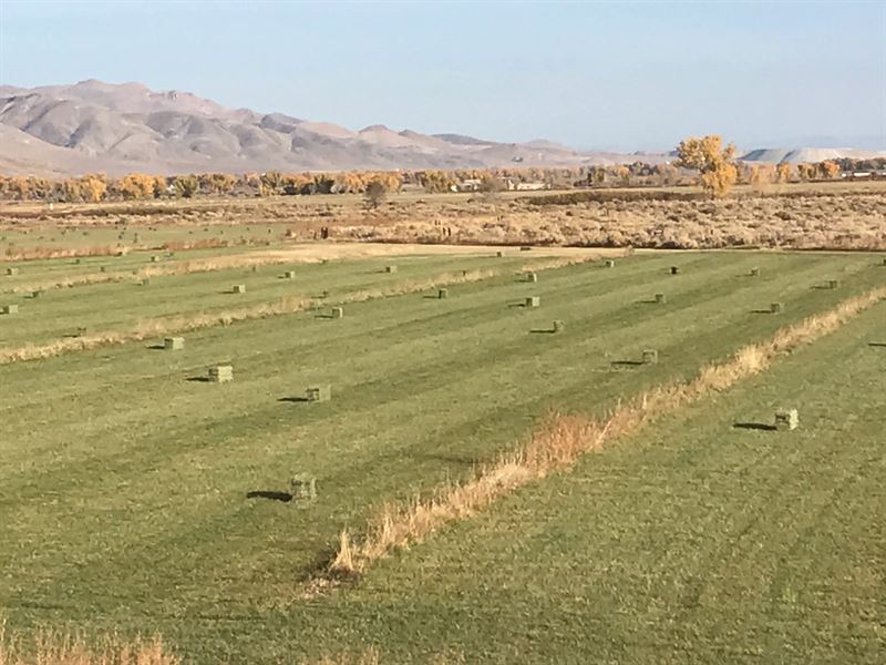 Home Horse Ranch/Farm Water Rights : Yerington : Lyon County : Nevada