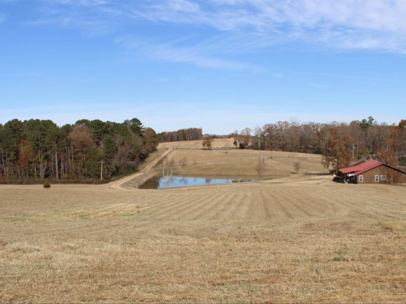 Beautiful 19 Acre Minifarm & Home, Land for Sale in Alabama, 186907