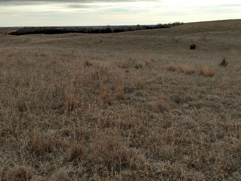 Twin Lakes Road 69 : North Platte : Lincoln County : Nebraska