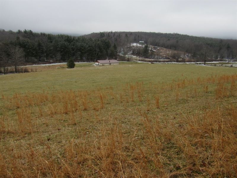 Pasture Land for Sale in Floyd VA : Floyd : Floyd County : Virginia