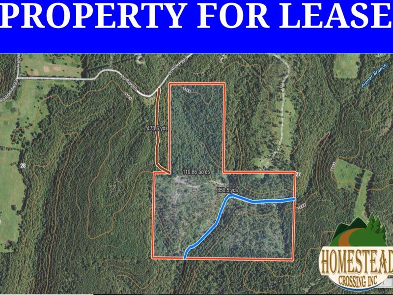 Approximately 110 Acres with Creek : Ava : Douglas County : Missouri