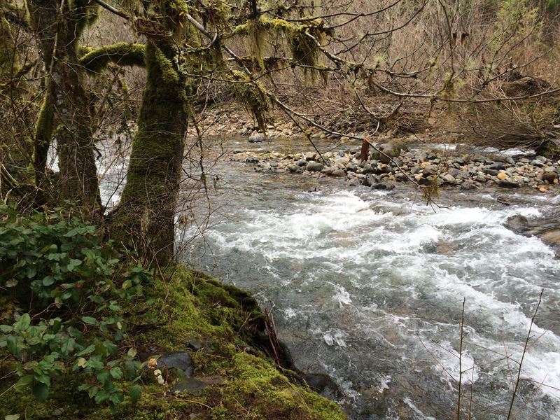 Sharps Creek : Dorena : Lane County : Oregon