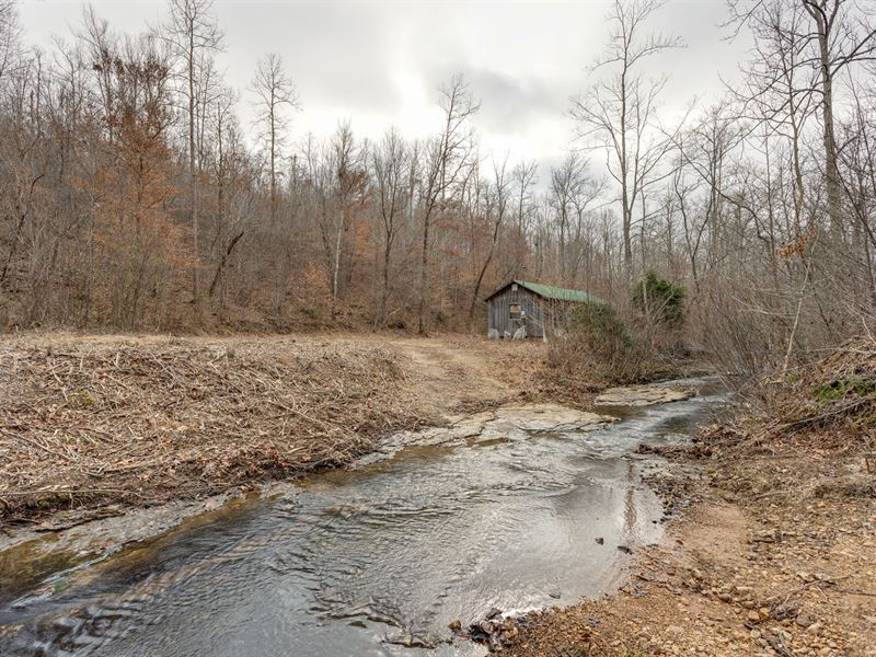 Hohenwald, Tennessee Lewis County : Hohenwald : Lewis County : Tennessee
