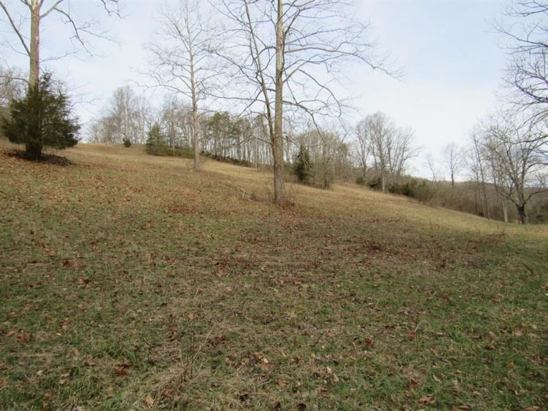 Recreational Farm Land Mendota VA : Bristol : Washington County : Virginia