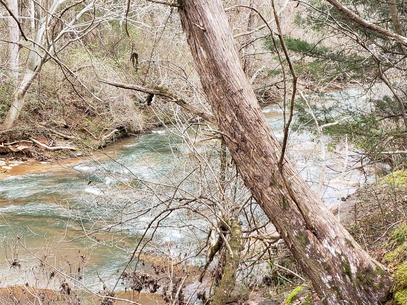 Feels Like You're in The Mountains : Thomaston : Upson County : Georgia