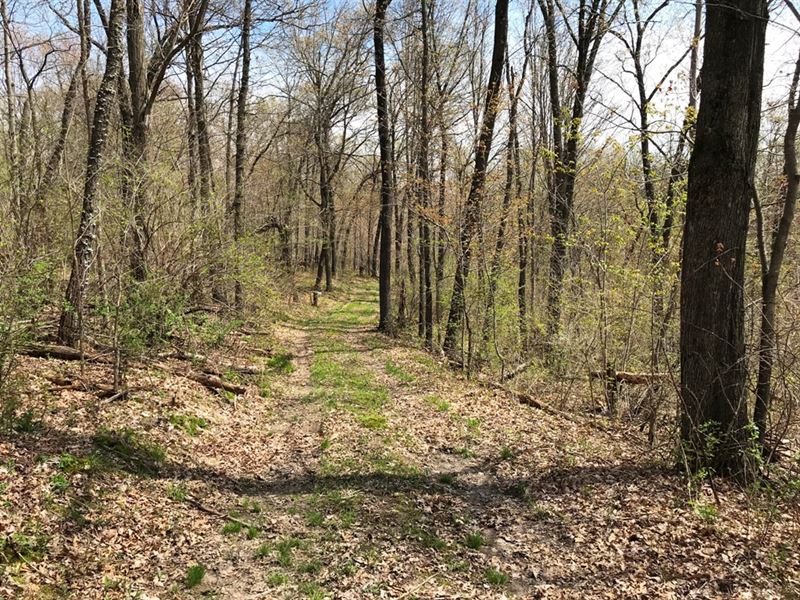 A Nice Parcel Near Wisconsin River : Avoca : Iowa County : Wisconsin