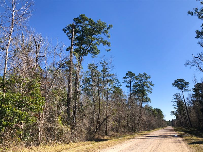 112 Ac Palmer Road Land for Sale in Daisetta, Liberty County, Texas