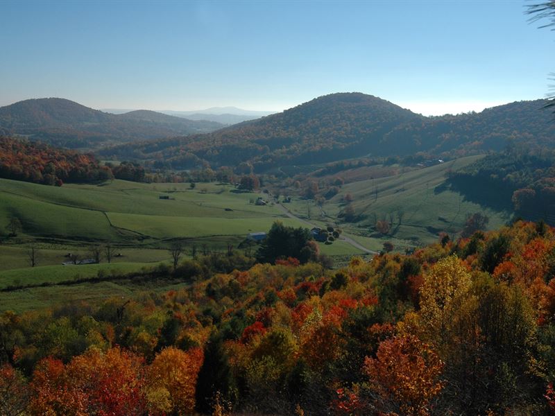 Mountain Land Blue Ridge Mountains Land for Sale in Sparta, Alleghany