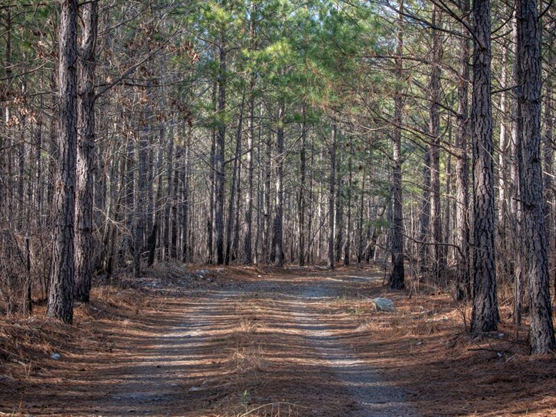 Abner Mountain Retreat : Star : Montgomery County : North Carolina