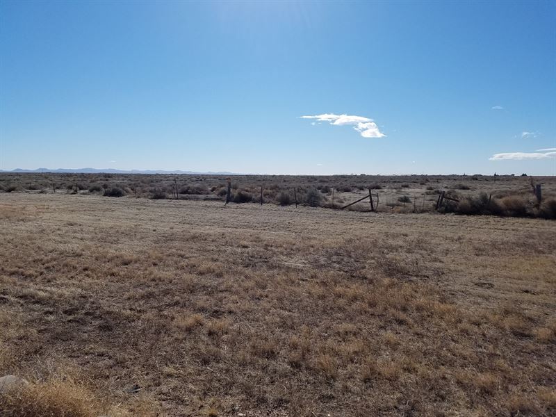 Land for Sale in Deming NM : Deming : Luna County : New Mexico