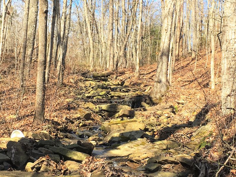 Soddy Creek Preserve : Graysville : Sequatchie County : Tennessee
