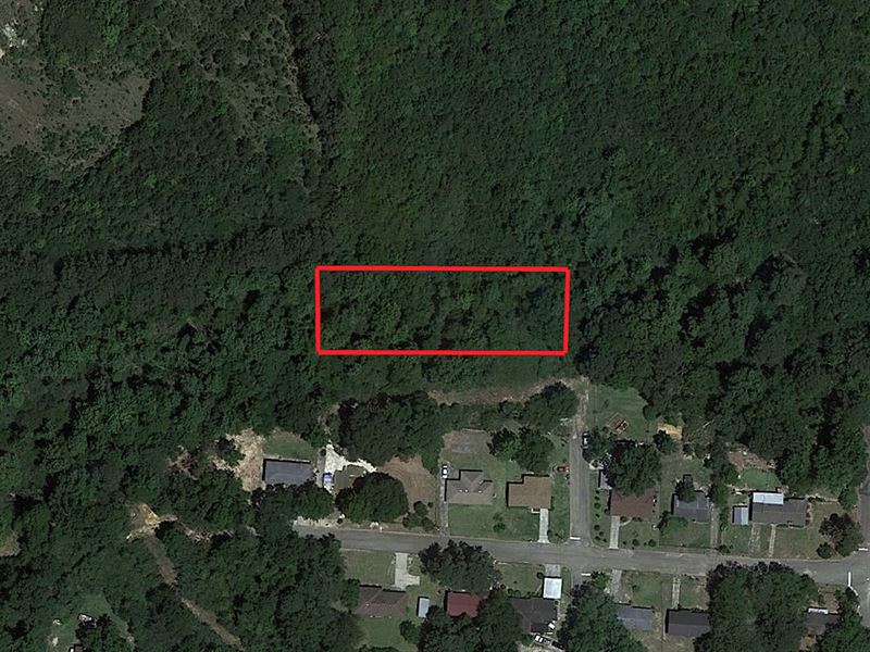 3/4 Acre Lot in Beautiful Ozark : Ozark : Dale County : Alabama
