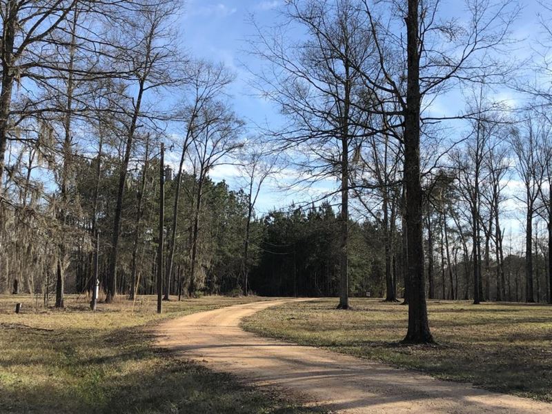 Pearl River Retreat Lot 19 : Wanilla : Lawrence County : Mississippi