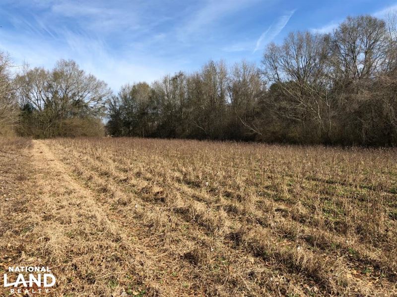 Evergreen Homesite Land for Sale in Evergreen, Conecuh County