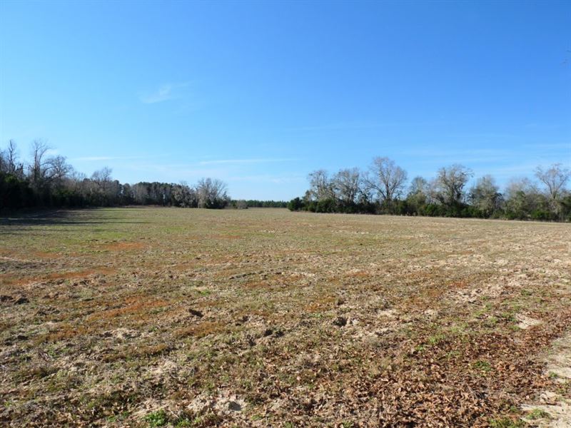 Jackson Branch Land for Sale in Fairfax, Allendale County, South