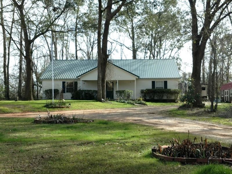 Home 2 Acres Houston County, AL, Land for Sale in Alabama, 187884