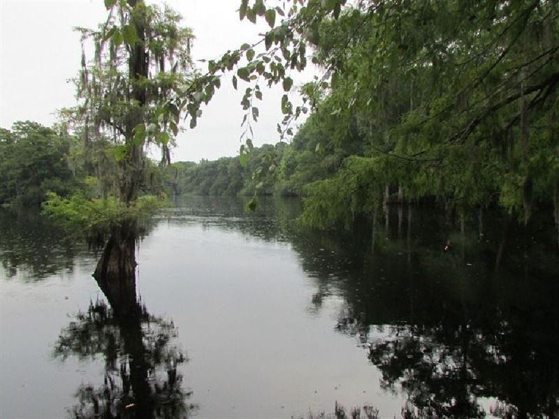 MullinsLittle Pee Dee River Tract Land for Sale in Galivants Ferry