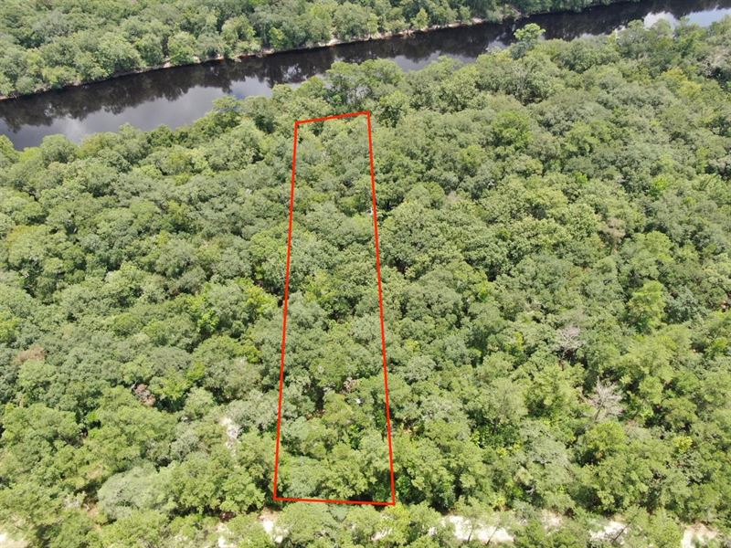 Amazing.85 Acre Lot On The Histor : Branford : Lafayette County : Florida