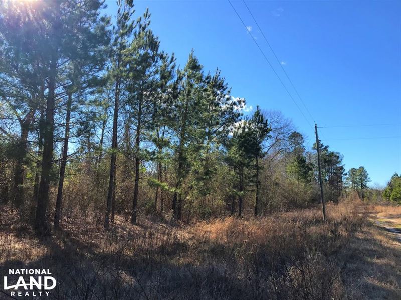 Rolling Oaks Home Sites : Blackville : Barnwell County : South Carolina