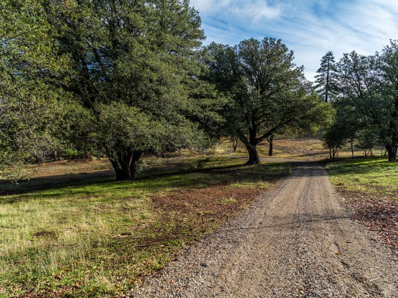 Pine Hills Acreage : Julian : San Diego County : California