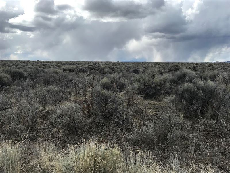 160 Acres East Burns Or, Penny Rd : Burns : Harney County : Oregon