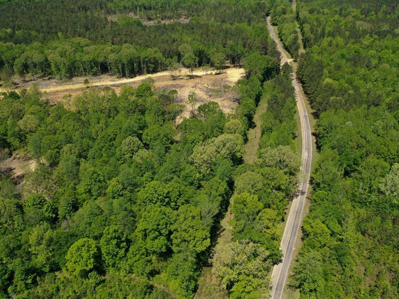 Webster County 62 Acres Hunting : Eupora : Webster County : Mississippi