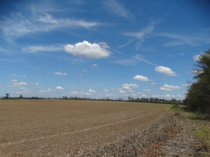 Ag Tract 90 Acres Rice Land : West Memphis : Crittenden County : Arkansas