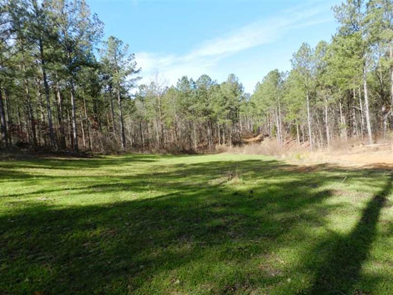 356 Acres of Land for Sale Near Ba : Double Springs : Winston County : Alabama