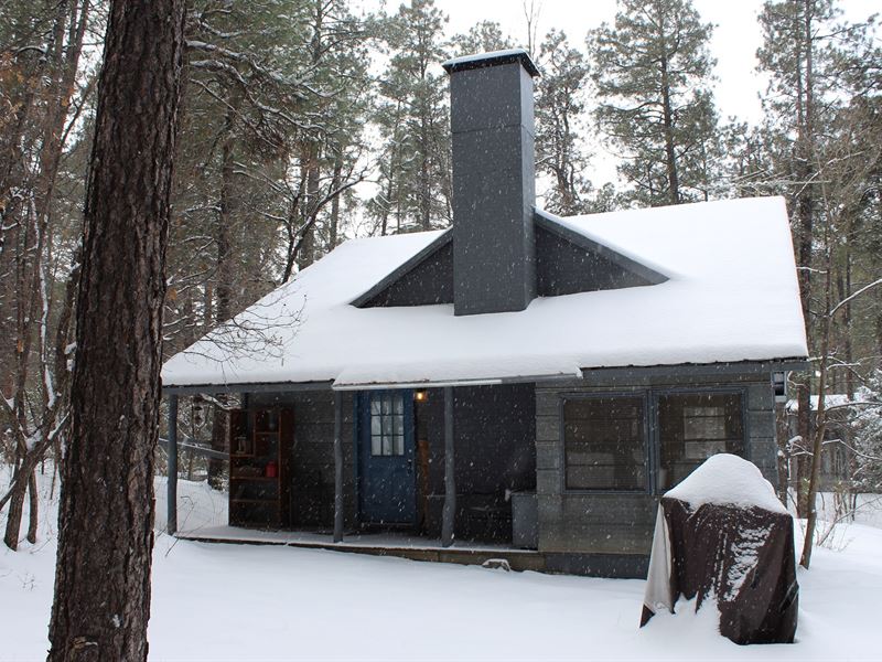 Cabin in Pines of Prescott Arizona : Prescott : Yavapai County : Arizona