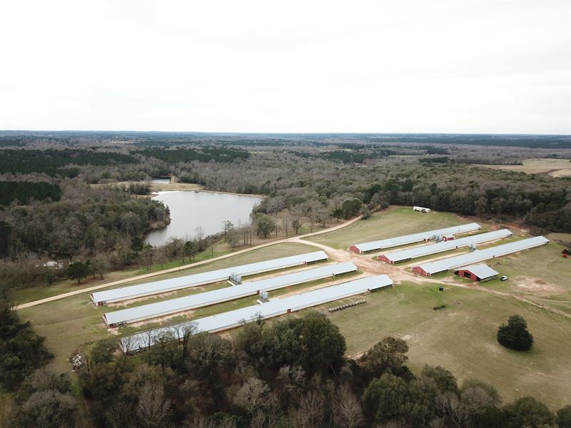 Tarentum Farm : Brundidge : Pike County : Alabama