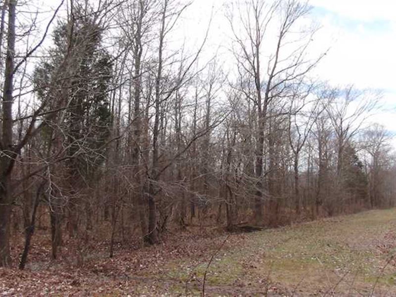 Land for Sale, Spencer County, IN : Gentryville : Spencer County : Indiana
