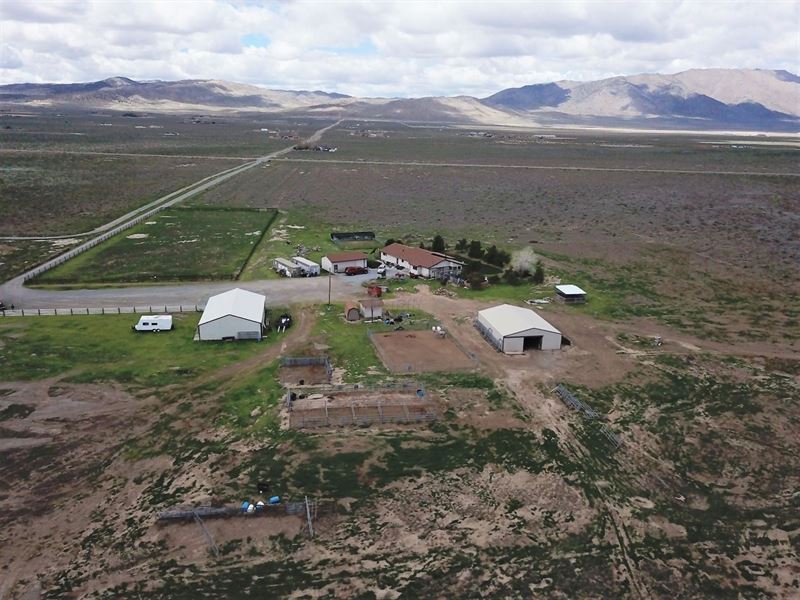 Horse Property/Ranch, Hemp Land : Reno : Washoe County : Nevada