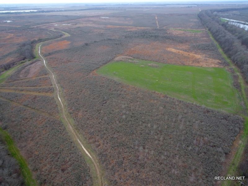 481 Ac, Duck & Deer Hunting Wr : Eudora : Chicot County : Arkansas