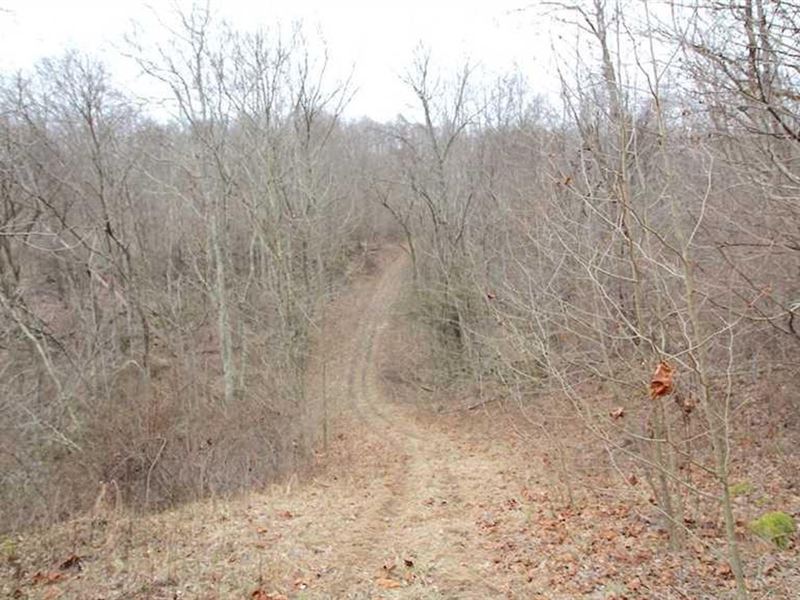 Tr 53, 67 Acres : Dexter City : Noble County : Ohio