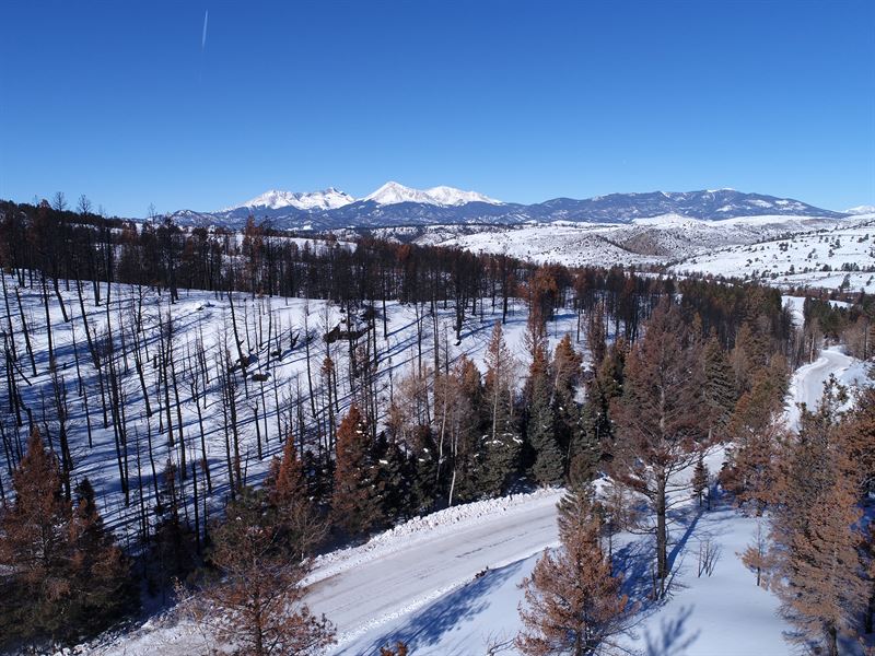 Forbes Park, Beautiful Land for Sale by Owner in Fort Garland