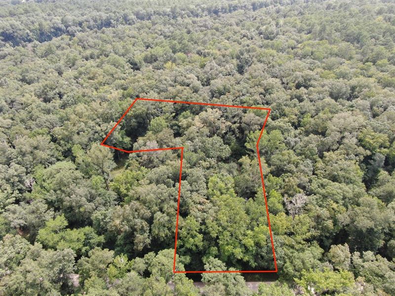 Awesome 1.05 Acres in Boundary Bend : Lee : Madison County : Florida