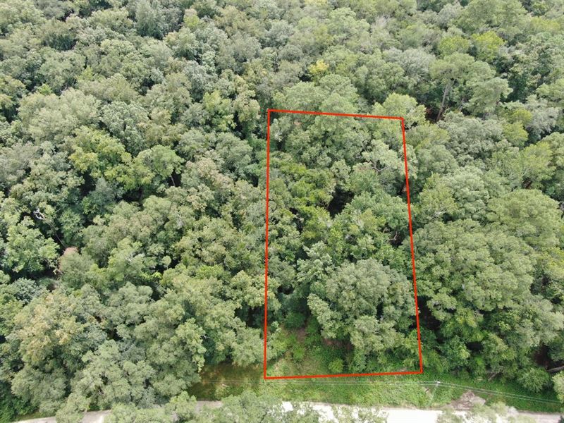 Pretty.47 Acre Lot in Boundary Be : Lee : Madison County : Florida
