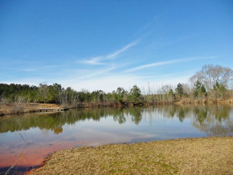 Home, Lodge, Hunting Land For Sale Land for Sale in Tylertown