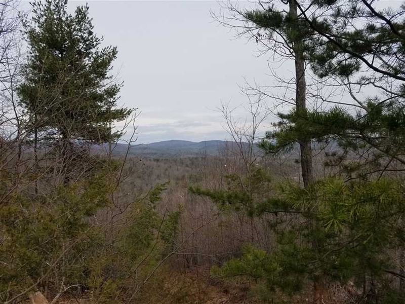 41.18 Acres in Connelly Springs : Connelly Springs : Burke County : North Carolina