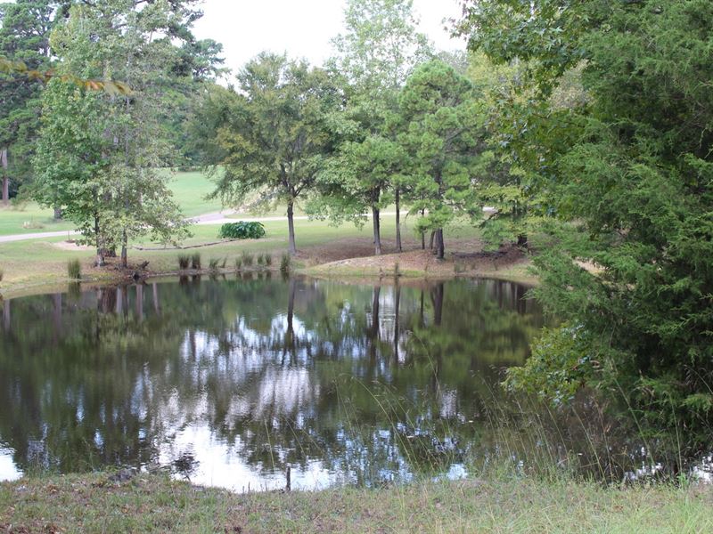 Waterfront Acreage East Texas, Wood Land for Sale in Winnsboro, Wood