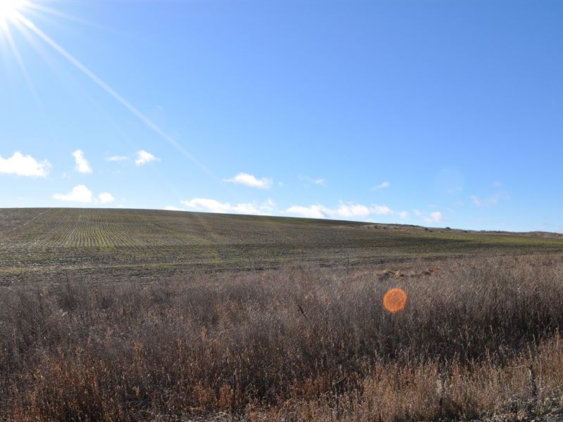 Land Goldendale Washington, Hood : Goldendale : Klickitat County : Washington