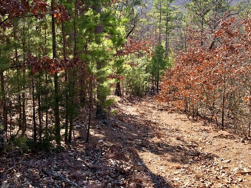 Oklahoma Hunting Land For Sale Land for Sale in Talihina, Latimer